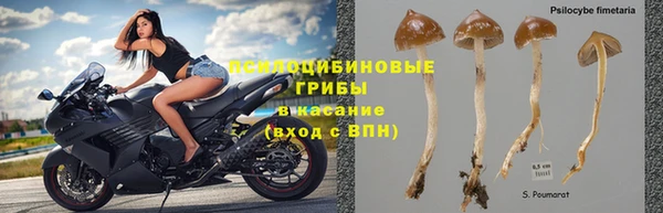 jwh Верхний Тагил