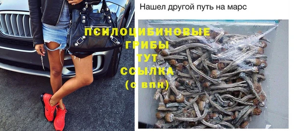 а пвп мука Верея