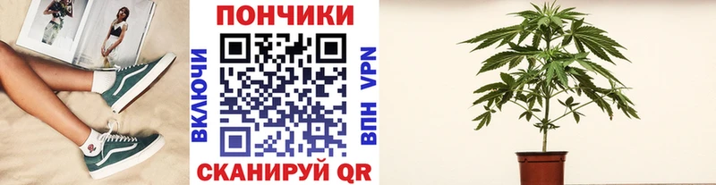 Бошки Шишки Ganja  Купить  Вихоревка 